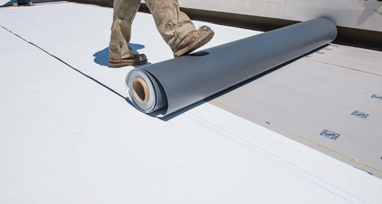 Thermoplastic Polyolefin Roofing Rosemead
