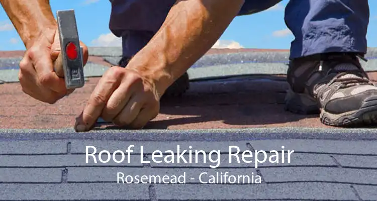 Roof Leaking Repair Rosemead - California