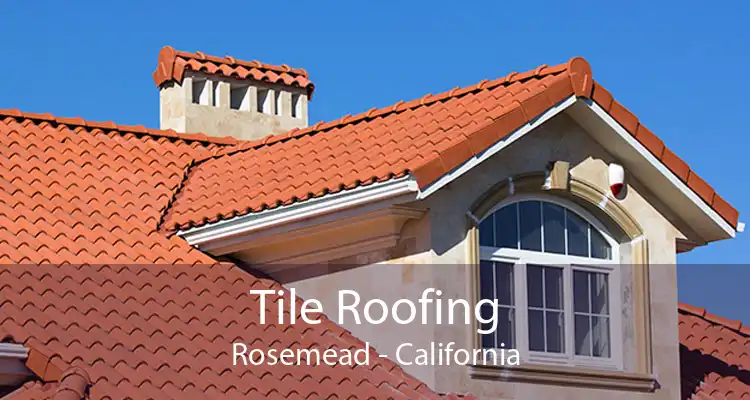 Tile Roofing Rosemead - California